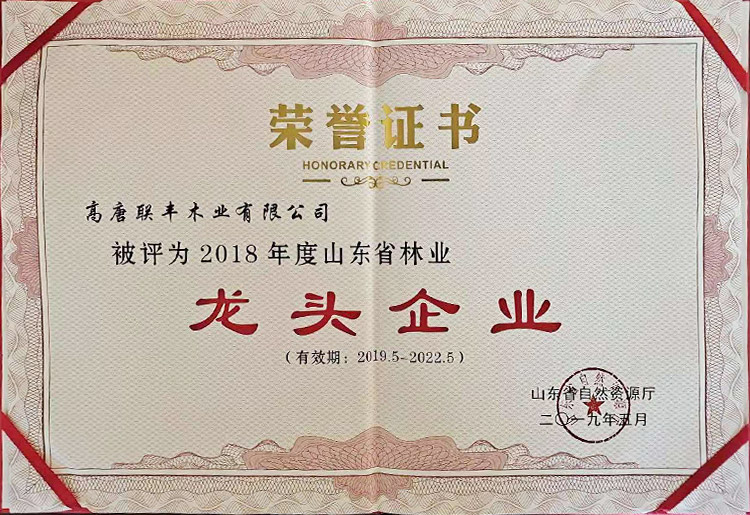 榮譽資質